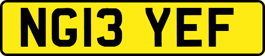 NG13YEF