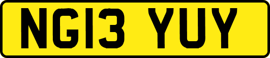 NG13YUY