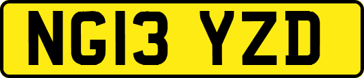 NG13YZD