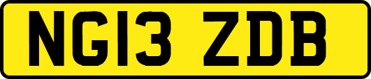 NG13ZDB