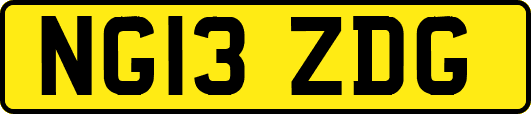 NG13ZDG