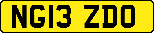 NG13ZDO