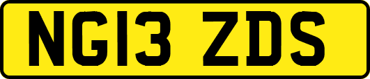 NG13ZDS
