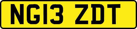 NG13ZDT