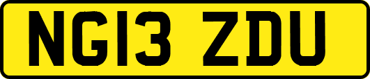 NG13ZDU