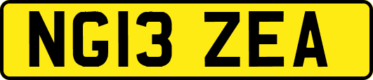 NG13ZEA