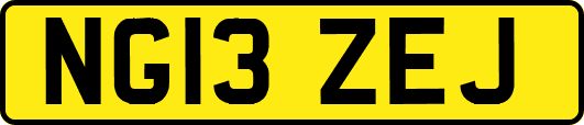 NG13ZEJ