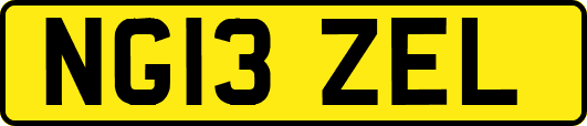 NG13ZEL