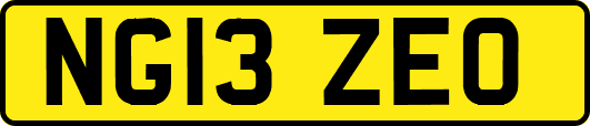 NG13ZEO