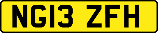 NG13ZFH