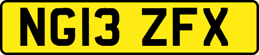 NG13ZFX