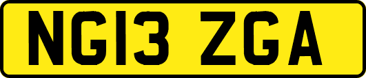 NG13ZGA