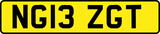 NG13ZGT