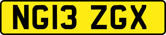 NG13ZGX
