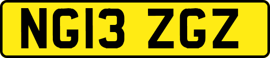 NG13ZGZ