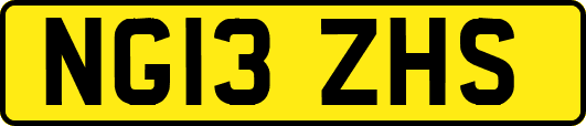 NG13ZHS