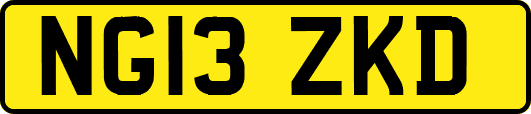 NG13ZKD