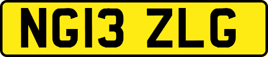 NG13ZLG