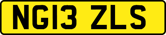 NG13ZLS
