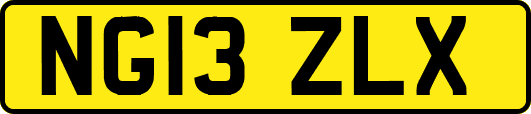 NG13ZLX