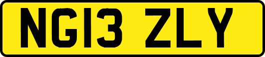 NG13ZLY
