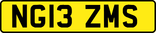 NG13ZMS