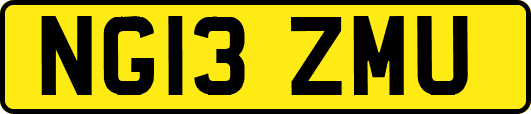 NG13ZMU
