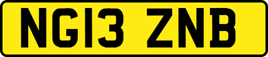 NG13ZNB