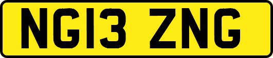 NG13ZNG