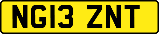 NG13ZNT
