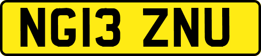 NG13ZNU