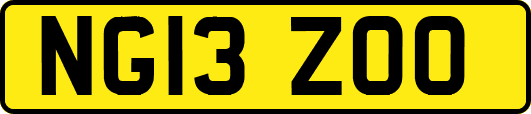 NG13ZOO