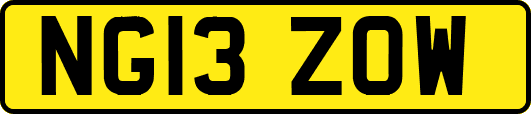 NG13ZOW