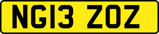 NG13ZOZ