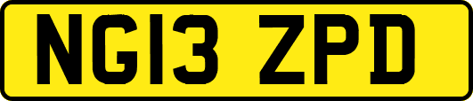 NG13ZPD