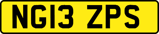 NG13ZPS
