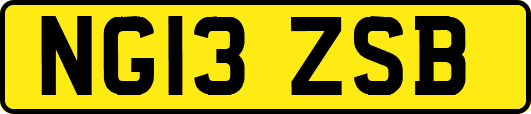 NG13ZSB