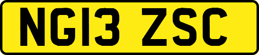 NG13ZSC