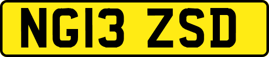 NG13ZSD
