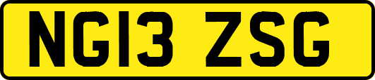 NG13ZSG