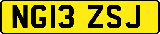 NG13ZSJ