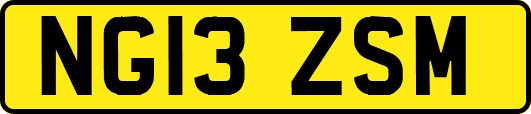 NG13ZSM
