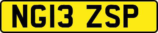 NG13ZSP