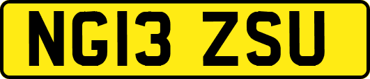 NG13ZSU