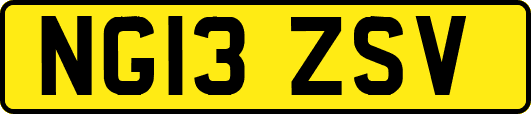 NG13ZSV