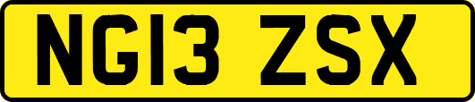 NG13ZSX