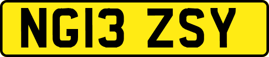 NG13ZSY