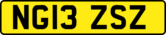 NG13ZSZ