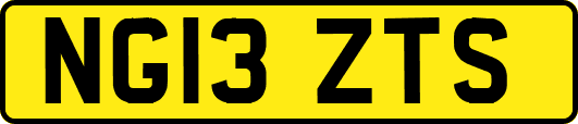 NG13ZTS