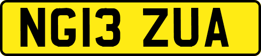 NG13ZUA